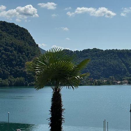 Neue Gartenwohnung Mit Sicht Auf Den Luganersee Понте-Треза Экстерьер фото